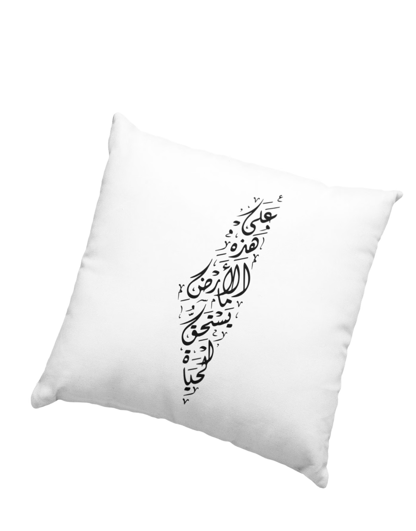 Coussin Palestine